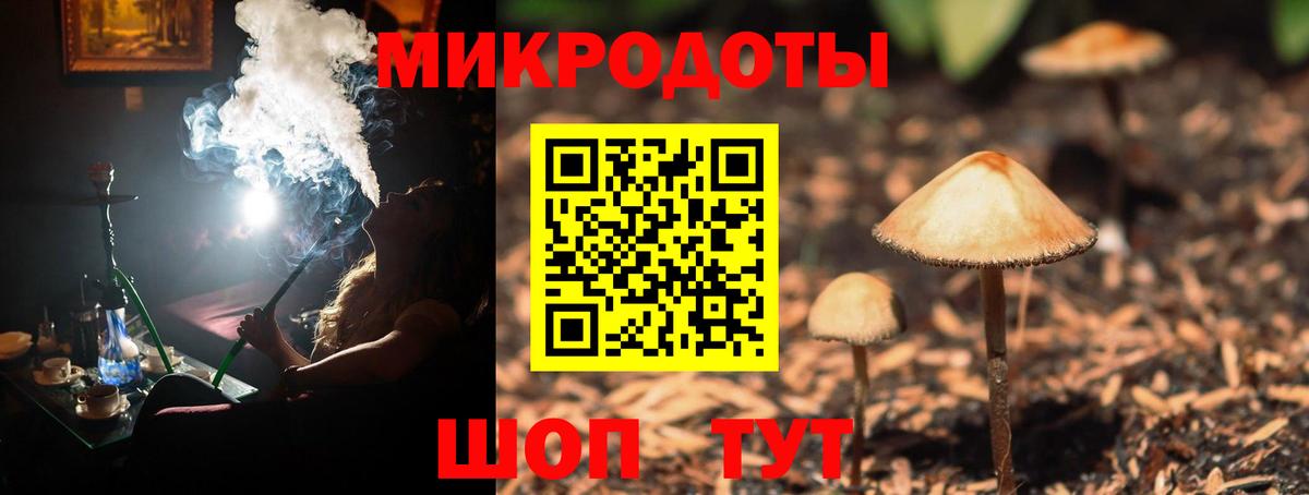 Псилоцибиновые грибы Magic Shrooms  Вход с VPN  Галлюциногенные грибы Psilocybine cubensis  как найти закладки  Волгоград 